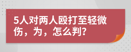 5人对两人殴打至轻微伤，为，怎么判？