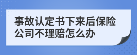 事故认定书下来后保险公司不理赔怎么办