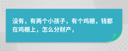 没有，有两个小孩子，有个鸡棚，钱都在鸡棚上，怎么分财产，