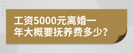 工资5000元离婚一年大概要抚养费多少？