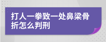 打人一拳致一处鼻梁骨折怎么判刑