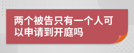 两个被告只有一个人可以申请到开庭吗