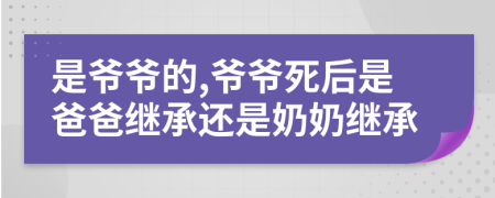 是爷爷的,爷爷死后是爸爸继承还是奶奶继承