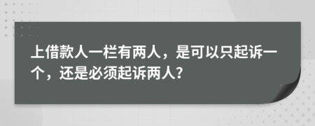 上借款人一栏有两人，是可以只起诉一个，还是必须起诉两人？