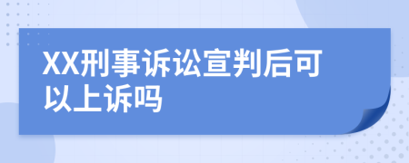 XX刑事诉讼宣判后可以上诉吗