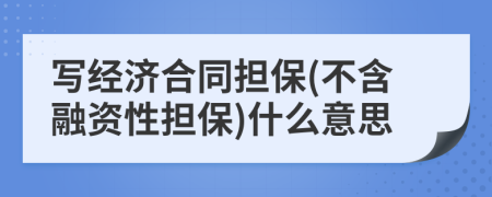 写经济合同担保(不含融资性担保)什么意思