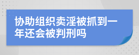 协助组织卖淫被抓到一年还会被判刑吗