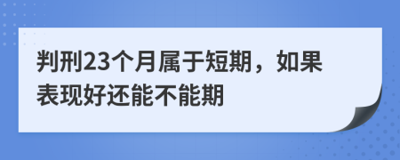 判刑23个月属于短期，如果表现好还能不能期