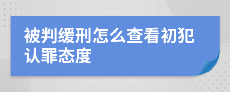 被判缓刑怎么查看初犯认罪态度