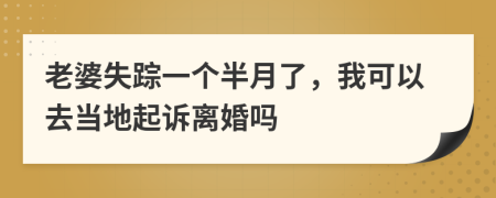 老婆失踪一个半月了，我可以去当地起诉离婚吗