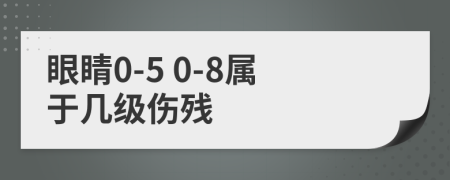 眼睛0-5 0-8属于几级伤残