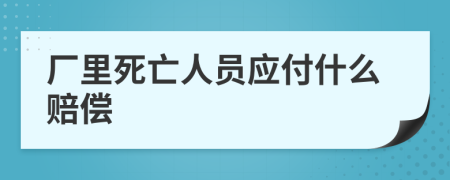 厂里死亡人员应付什么赔偿