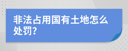 非法占用国有土地怎么处罚？