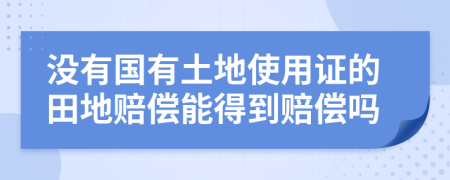 没有国有土地使用证的田地赔偿能得到赔偿吗