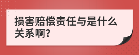 损害赔偿责任与是什么关系啊？