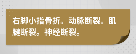 右脚小指骨折。动脉断裂。肌腱断裂。神经断裂。