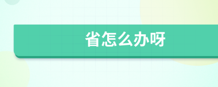 省怎么办呀