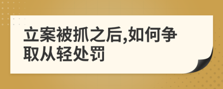 立案被抓之后,如何争取从轻处罚