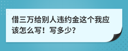 借三万给别人违约金这个我应该怎么写！写多少？