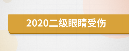 2020二级眼睛受伤