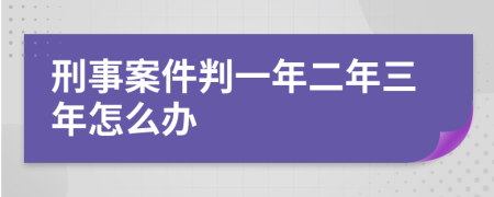刑事案件判一年二年三年怎么办