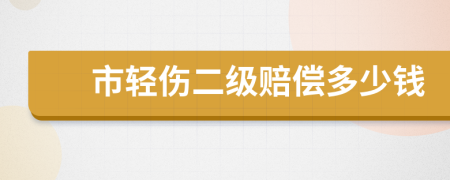 市轻伤二级赔偿多少钱