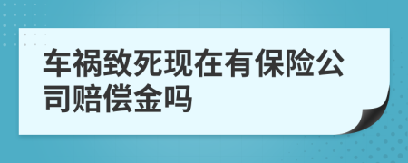 车祸致死现在有保险公司赔偿金吗