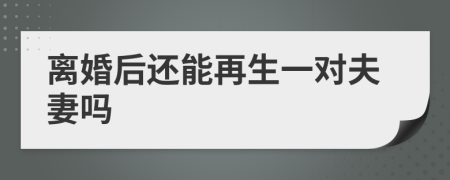 离婚后还能再生一对夫妻吗