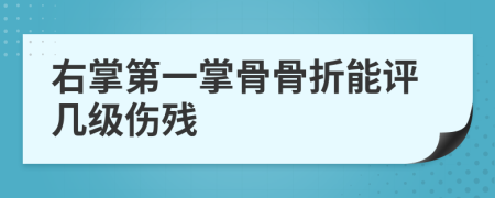 右掌第一掌骨骨折能评几级伤残