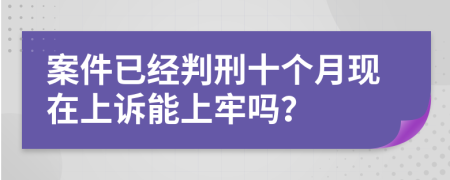 案件已经判刑十个月现在上诉能上牢吗？
