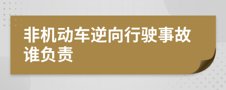 非机动车逆向行驶事故谁负责