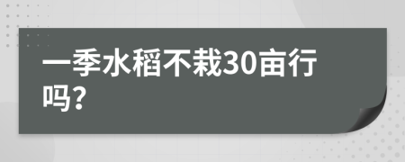 一季水稻不栽30亩行吗？