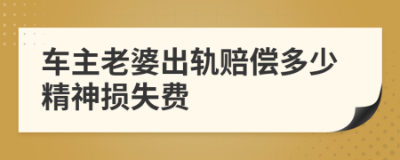车主老婆出轨赔偿多少精神损失费