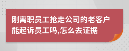 刚离职员工抢走公司的老客户能起诉员工吗,怎么去证据