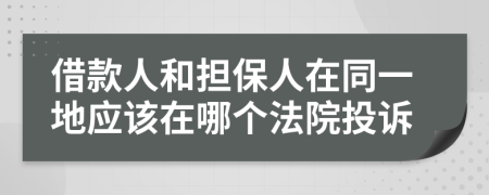 借款人和担保人在同一地应该在哪个法院投诉