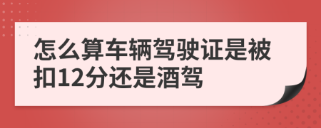 怎么算车辆驾驶证是被扣12分还是酒驾