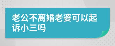 老公不离婚老婆可以起诉小三吗