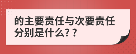 的主要责任与次要责任分别是什么? ?