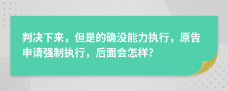 判决下来，但是的确没能力执行，原告申请强制执行，后面会怎样？