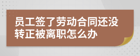 员工签了劳动合同还没转正被离职怎么办