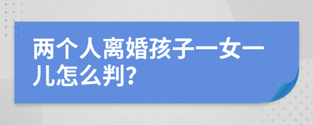 两个人离婚孩子一女一儿怎么判？