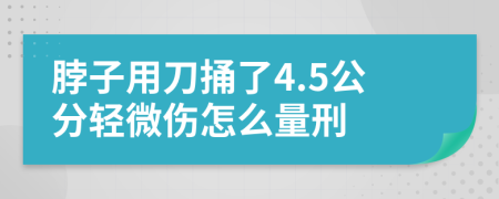 脖子用刀捅了4.5公分轻微伤怎么量刑