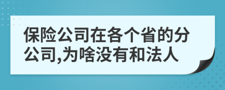 保险公司在各个省的分公司,为啥没有和法人