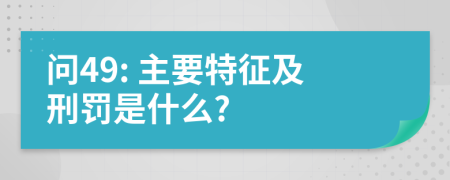 问49: 主要特征及刑罚是什么?