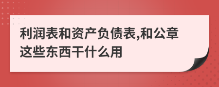 利润表和资产负债表,和公章这些东西干什么用
