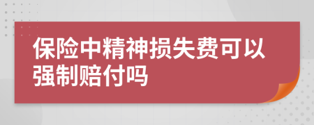 保险中精神损失费可以强制赔付吗