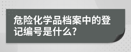 危险化学品档案中的登记编号是什么?