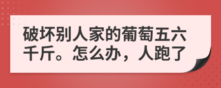 破坏别人家的葡萄五六千斤。怎么办，人跑了
