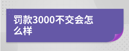 罚款3000不交会怎么样