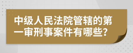 中级人民法院管辖的第一审刑事案件有哪些？